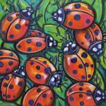 Ladybugs